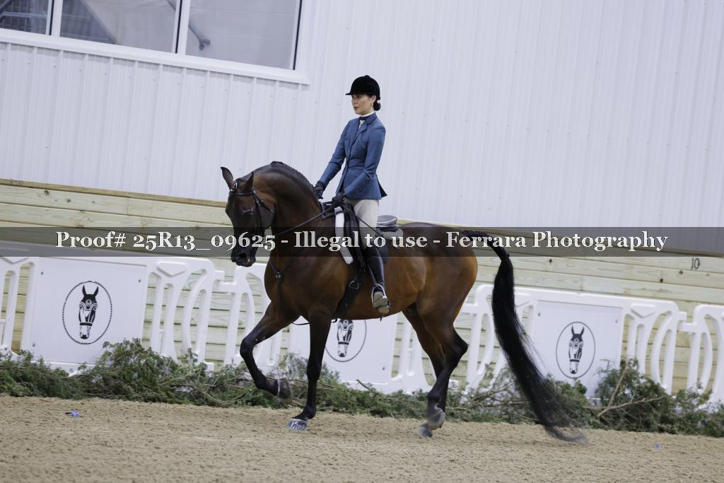 Proof Number 25R13_09625