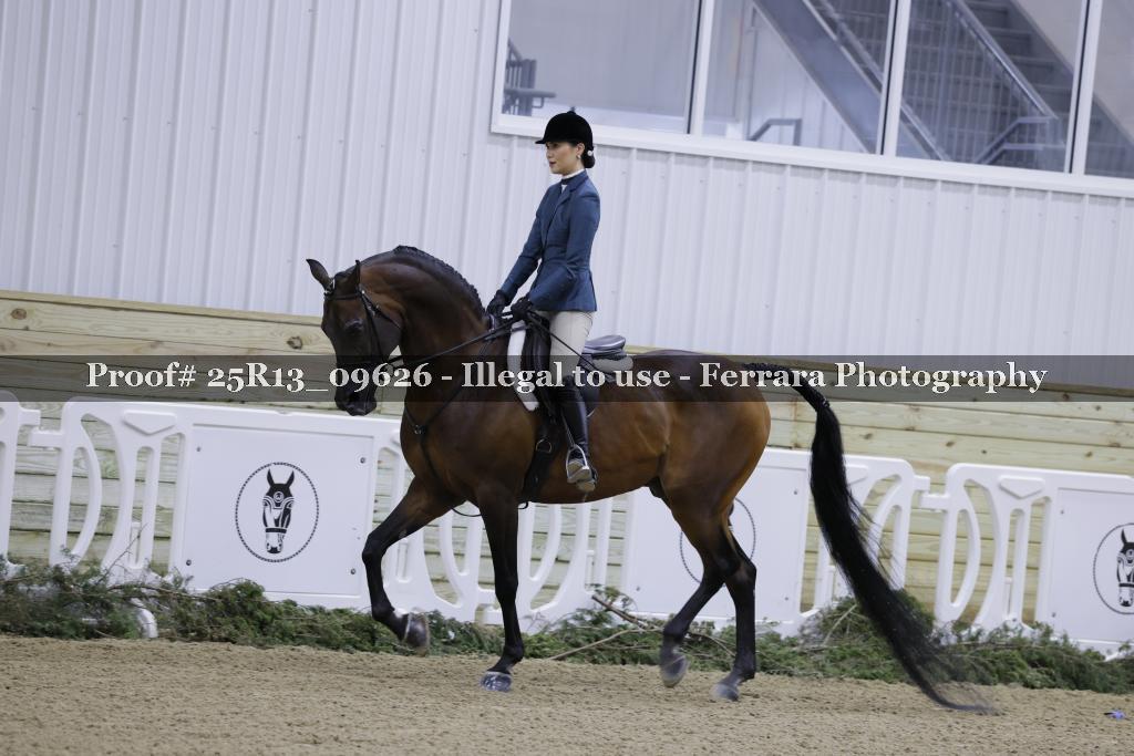 Proof Number 25R13_09626