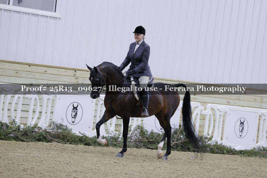 Proof Number 25R13_09627