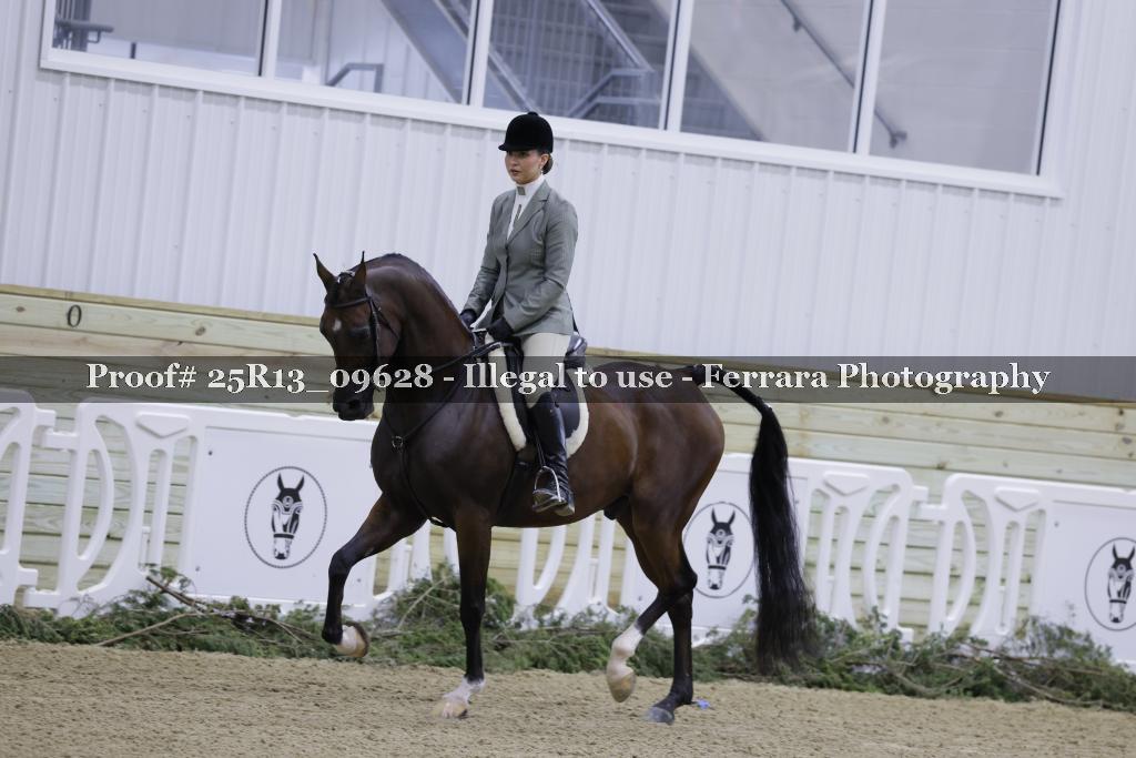 Proof Number 25R13_09628