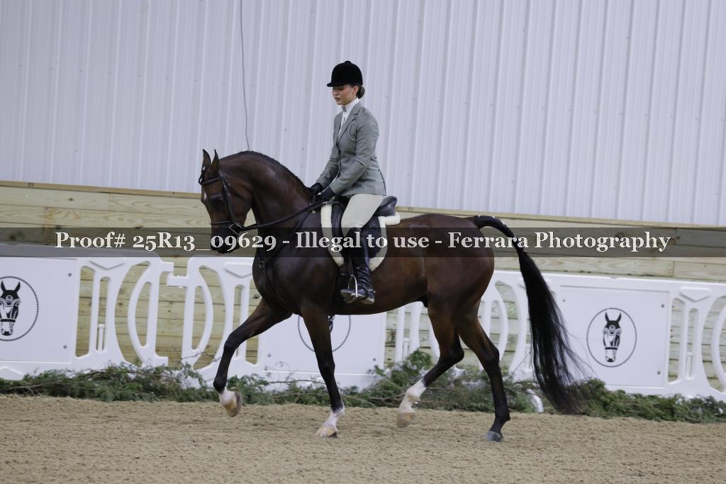 Proof Number 25R13_09629