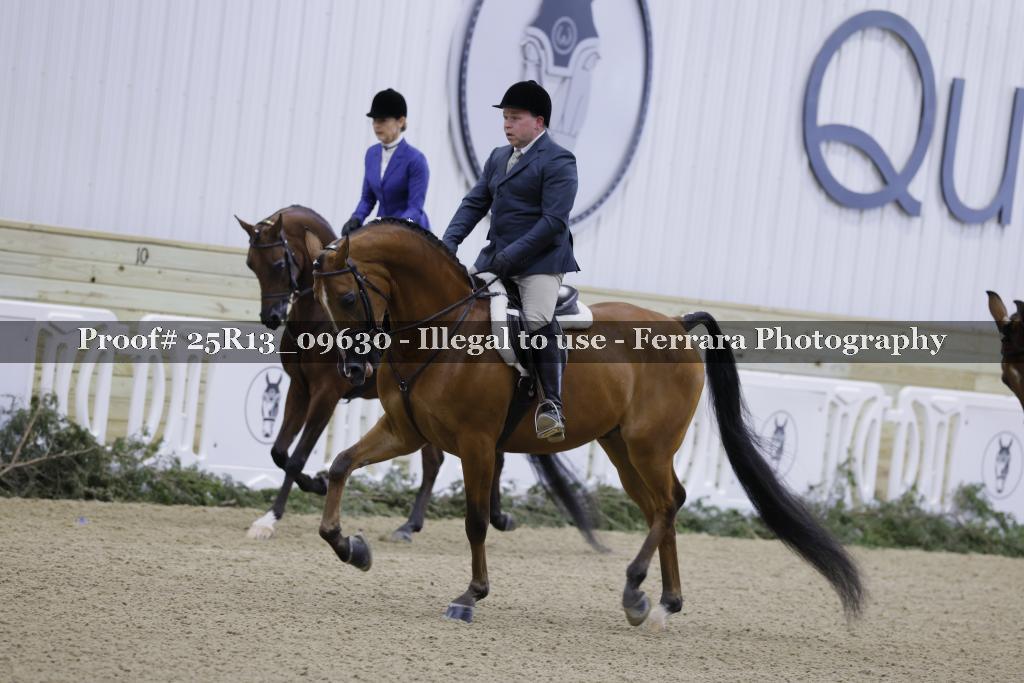 Proof Number 25R13_09630