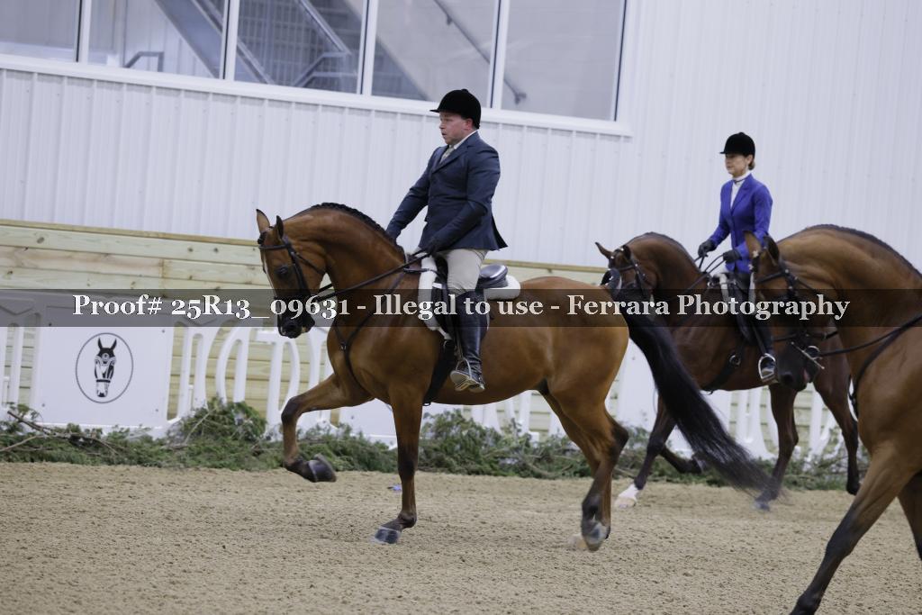 Proof Number 25R13_09631
