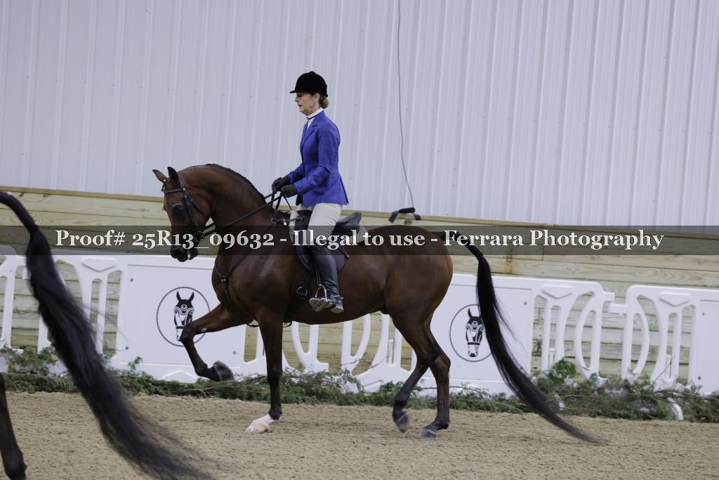 Proof Number 25R13_09632