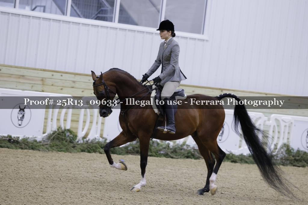 Proof Number 25R13_09633