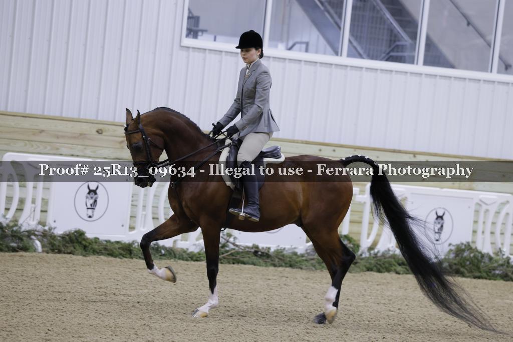 Proof Number 25R13_09634