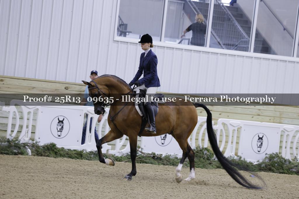 Proof Number 25R13_09635