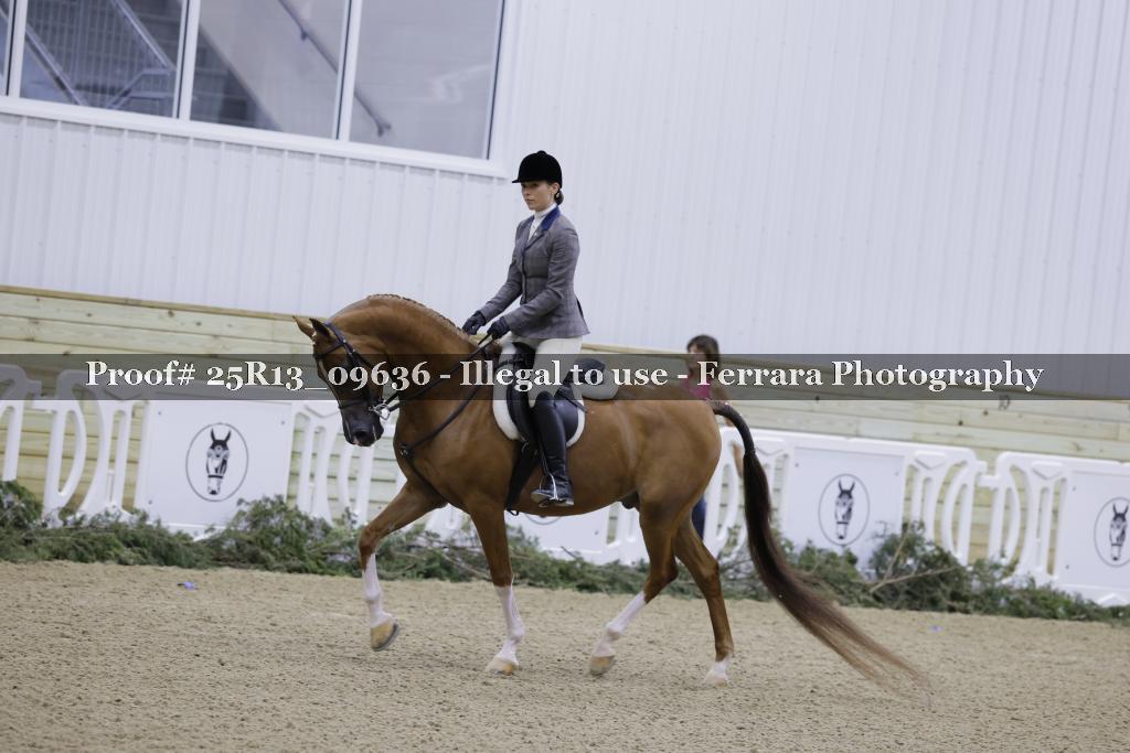 Proof Number 25R13_09636