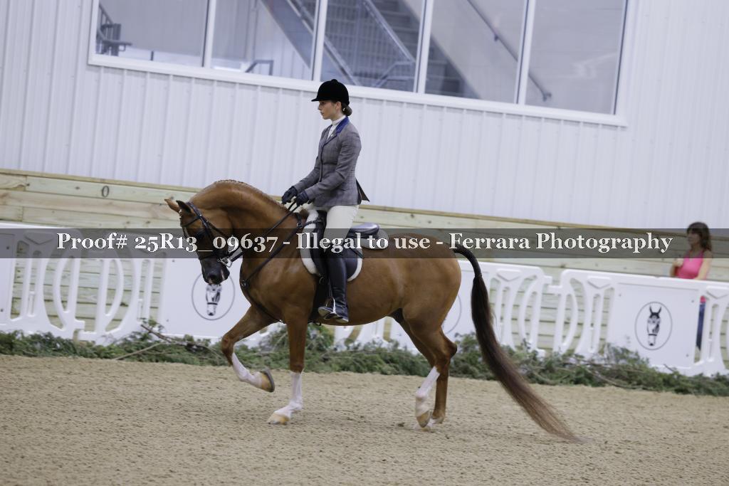 Proof Number 25R13_09637