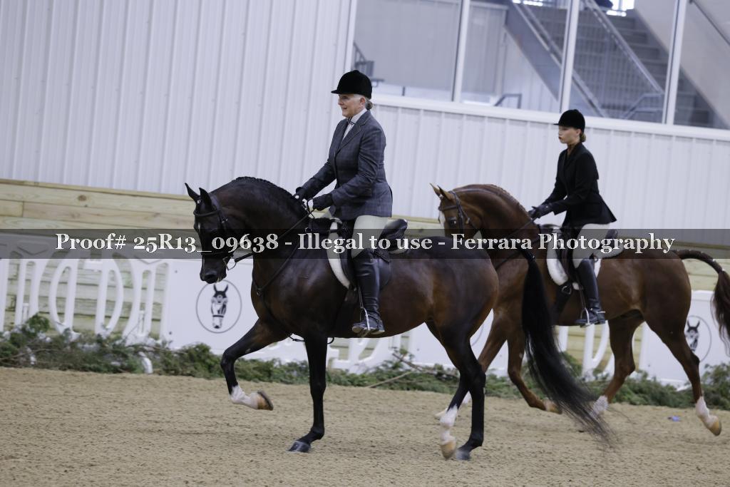 Proof Number 25R13_09638