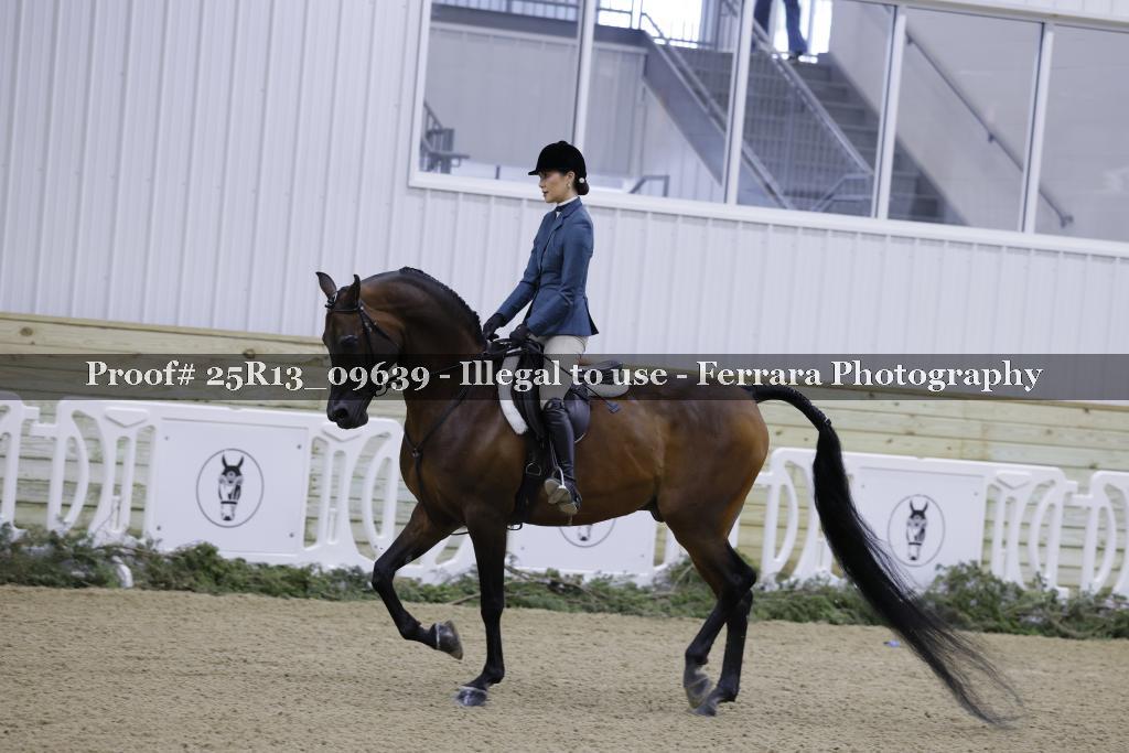 Proof Number 25R13_09639