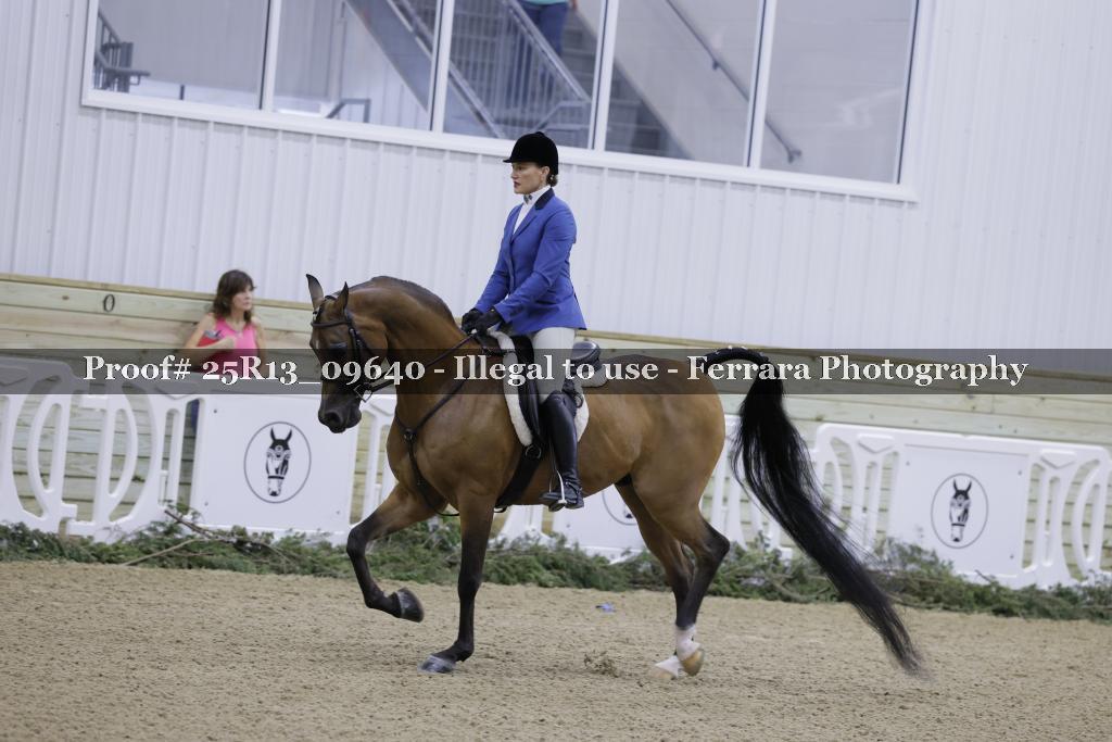 Proof Number 25R13_09640
