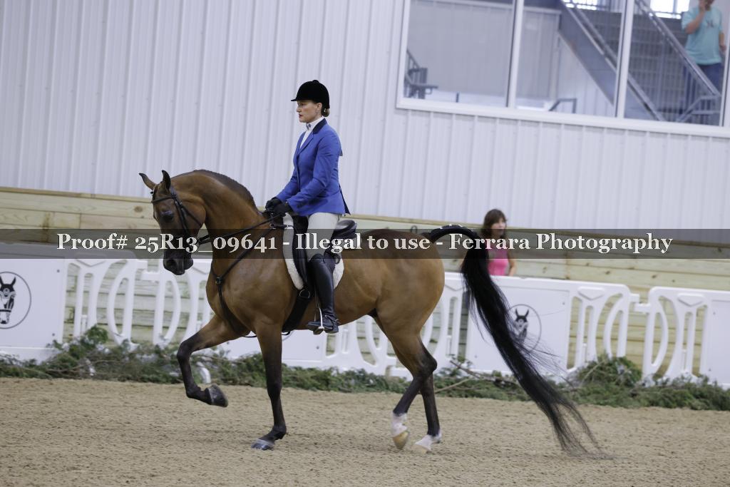 Proof Number 25R13_09641