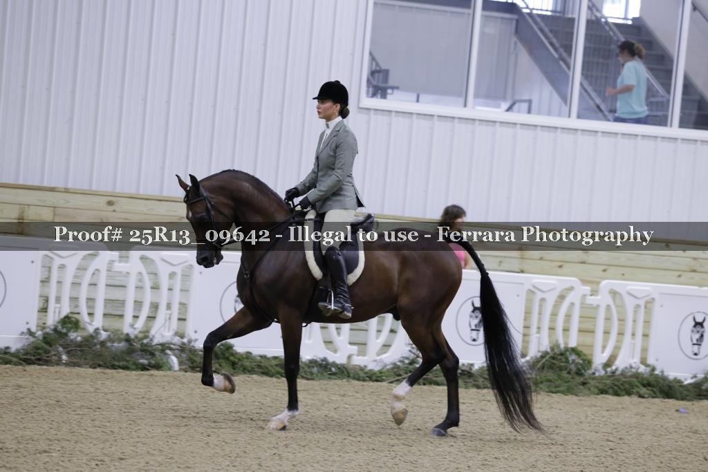 Proof Number 25R13_09642