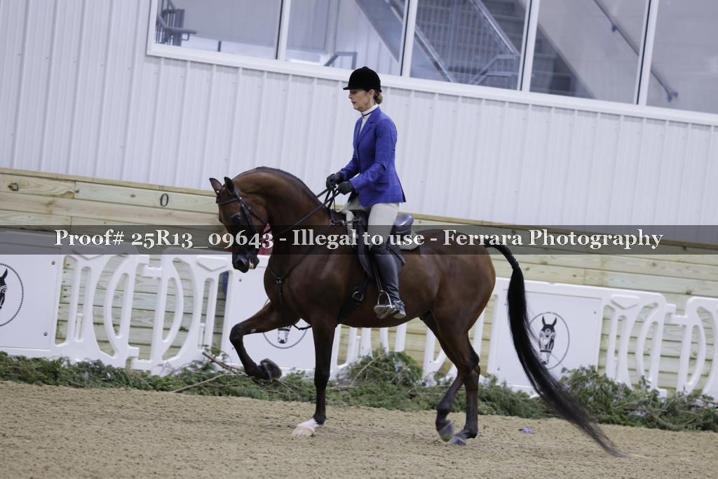 Proof Number 25R13_09643