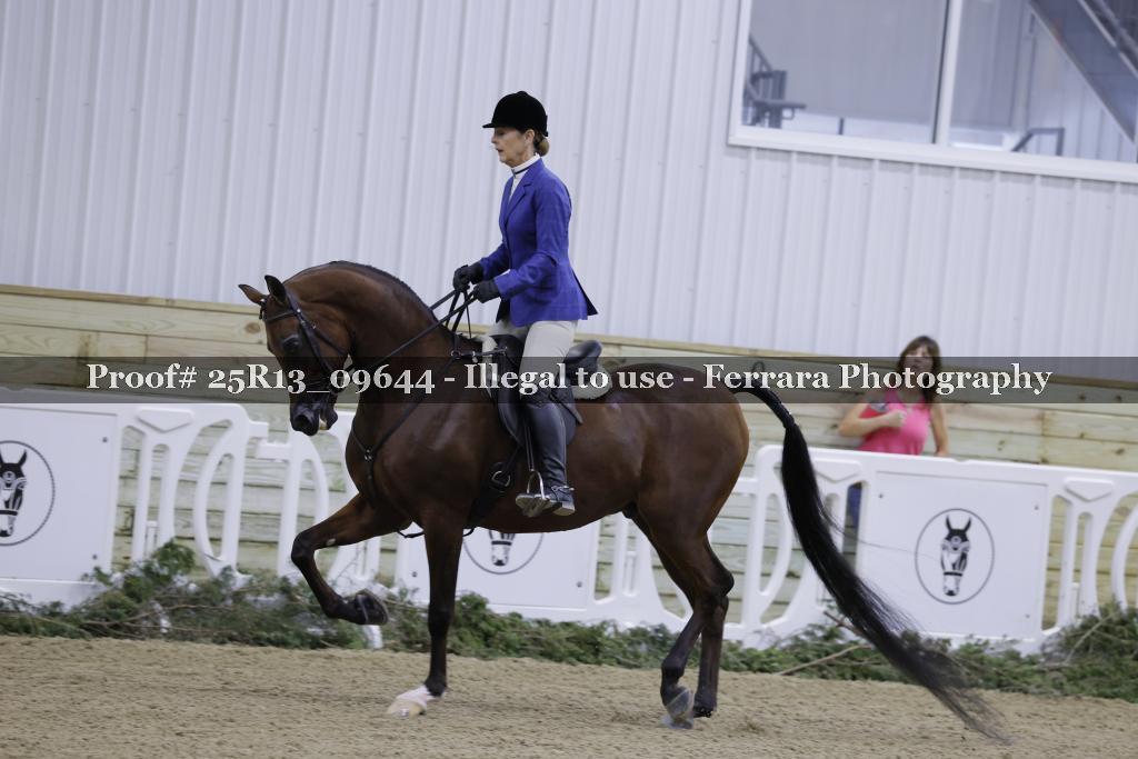 Proof Number 25R13_09644