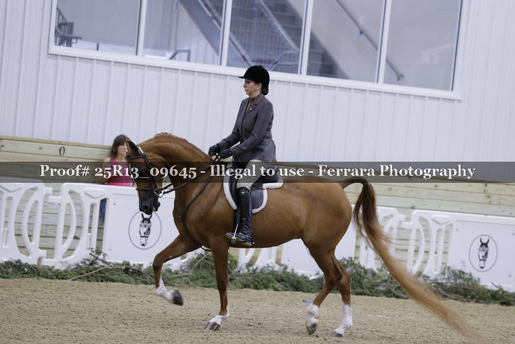 Proof Number 25R13_09645