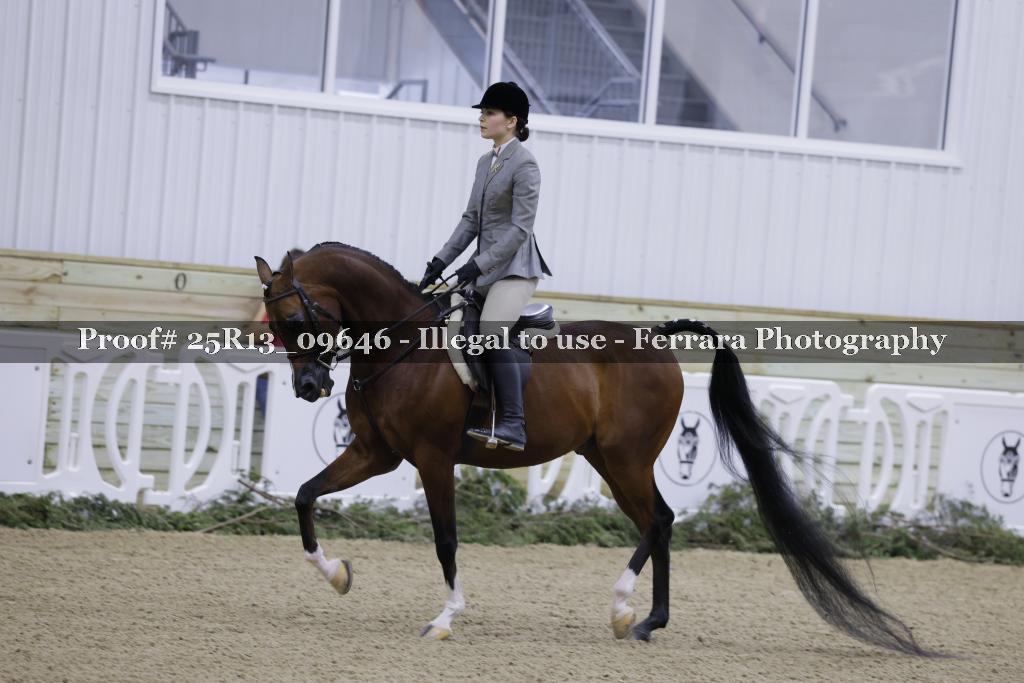 Proof Number 25R13_09646