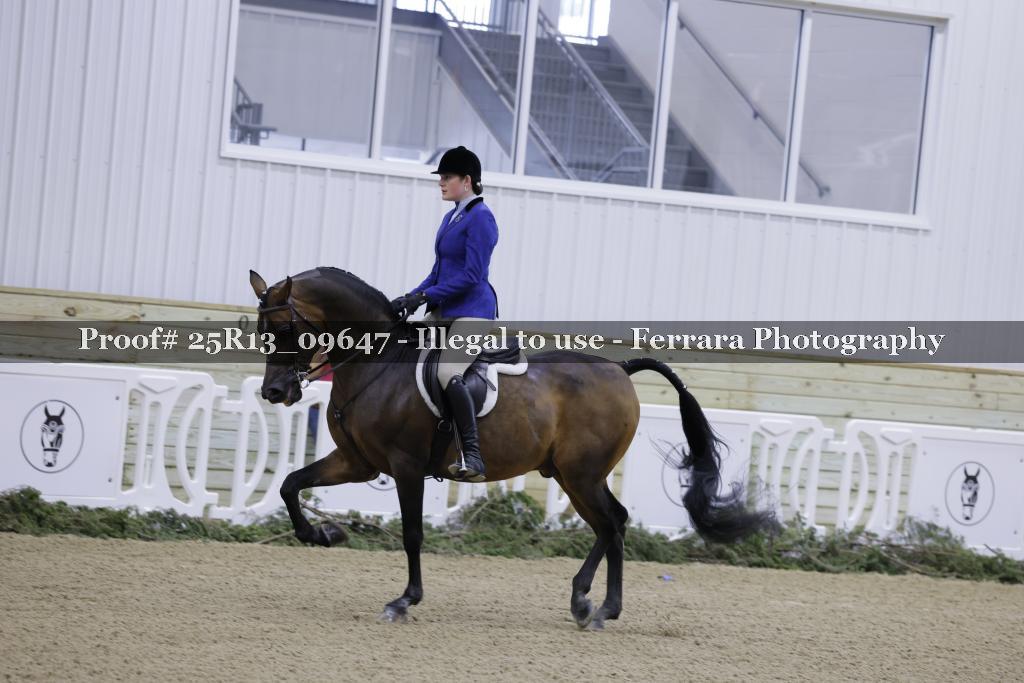 Proof Number 25R13_09647