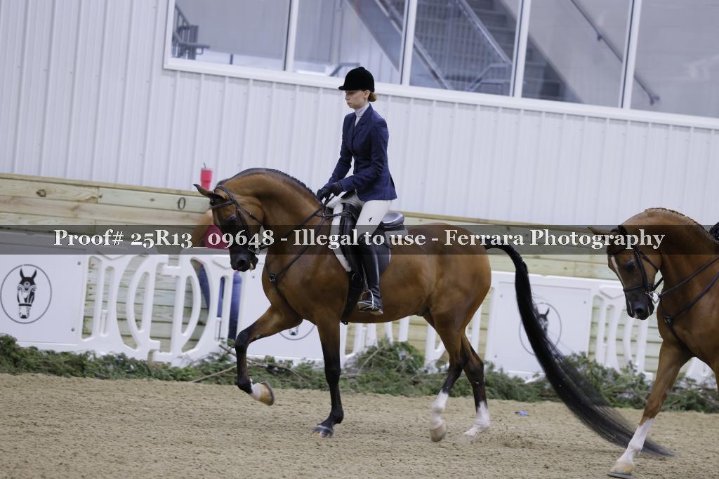 Proof Number 25R13_09648