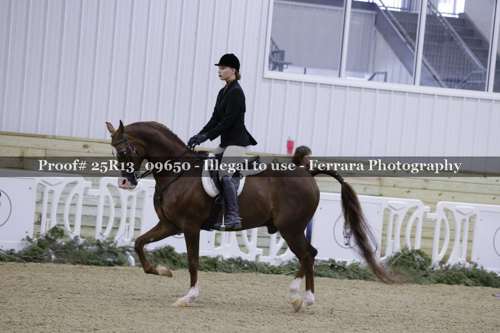 Proof Number 25R13_09650