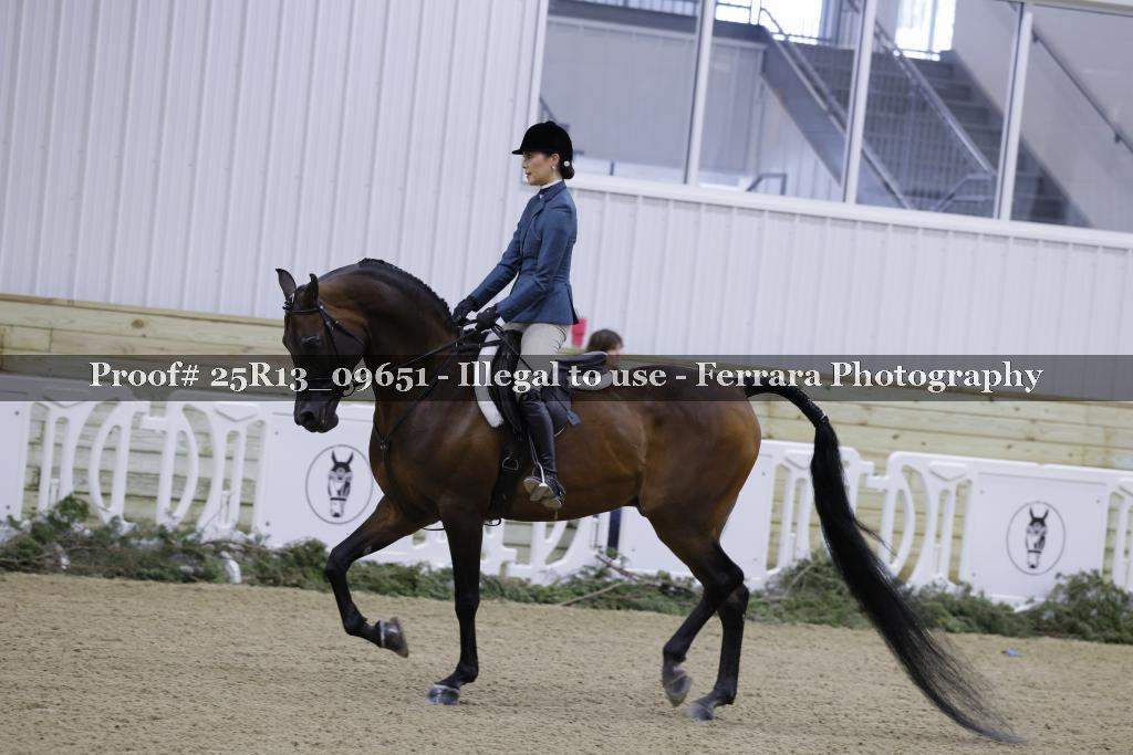 Proof Number 25R13_09651