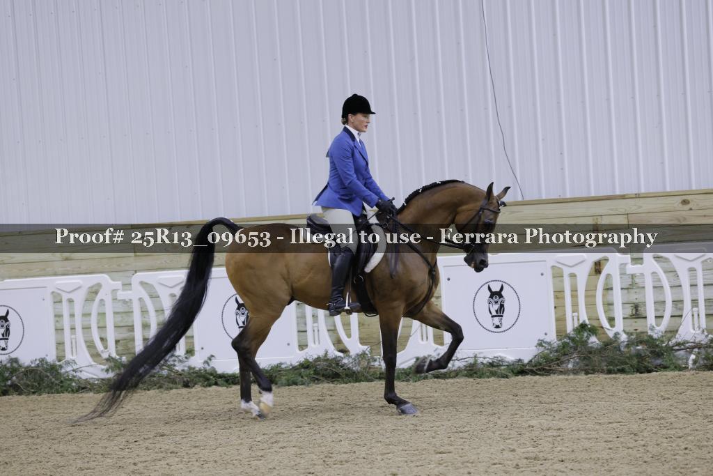Proof Number 25R13_09653