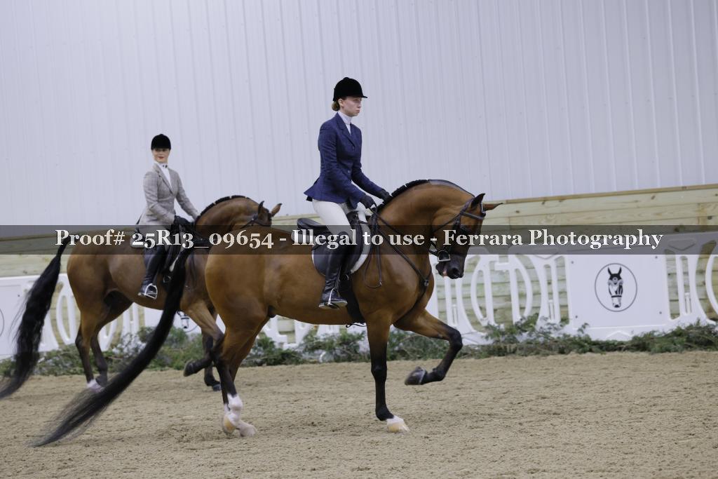 Proof Number 25R13_09654