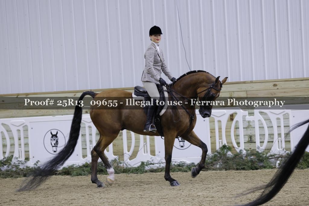 Proof Number 25R13_09655
