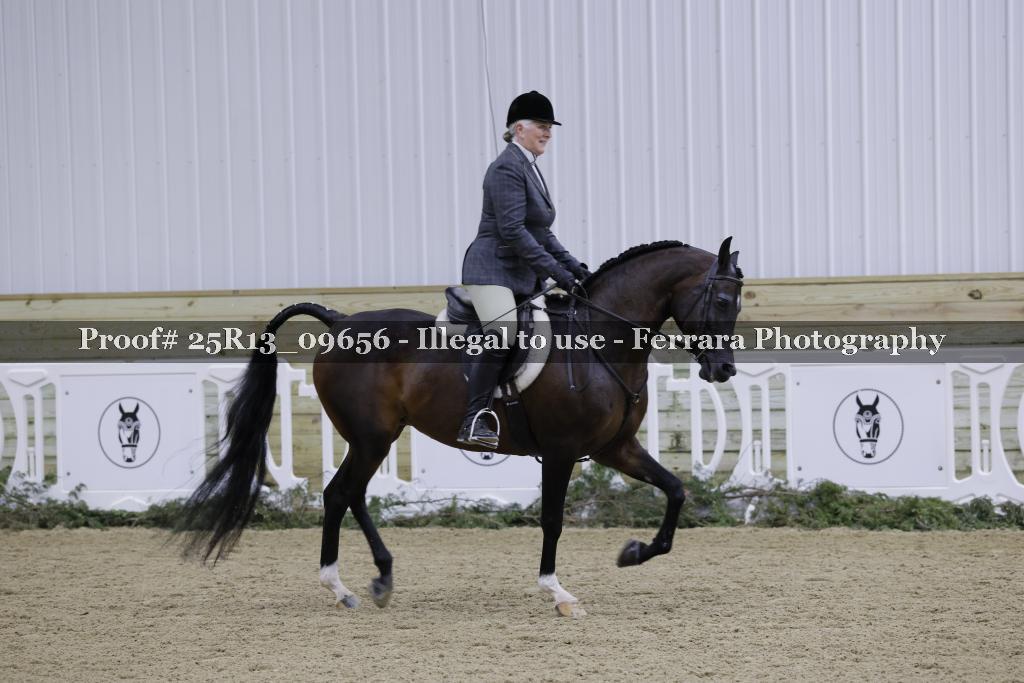 Proof Number 25R13_09656