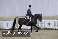 25R13_09656 thumbnail