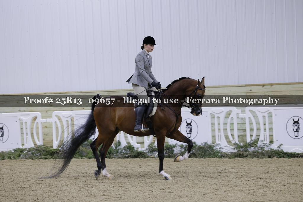 Proof Number 25R13_09657