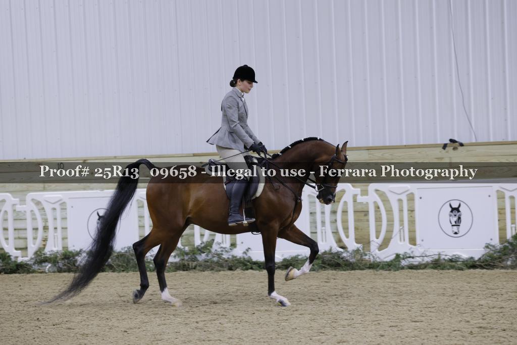 Proof Number 25R13_09658