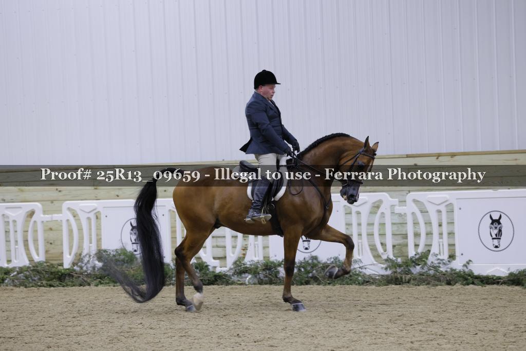 Proof Number 25R13_09659