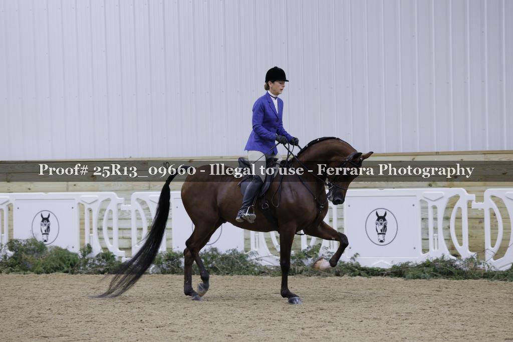 Proof Number 25R13_09660