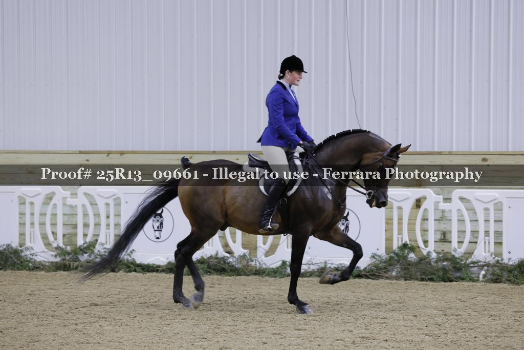 Proof Number 25R13_09661
