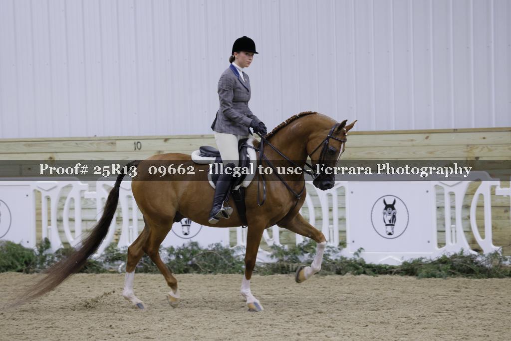 Proof Number 25R13_09662