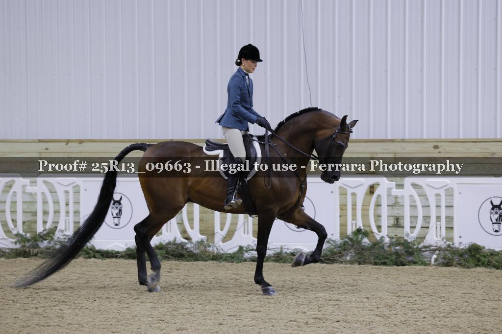 Proof Number 25R13_09663