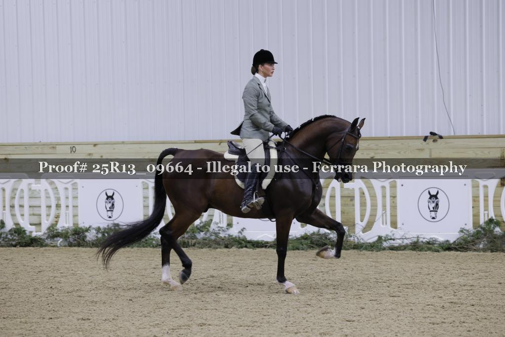 Proof Number 25R13_09664