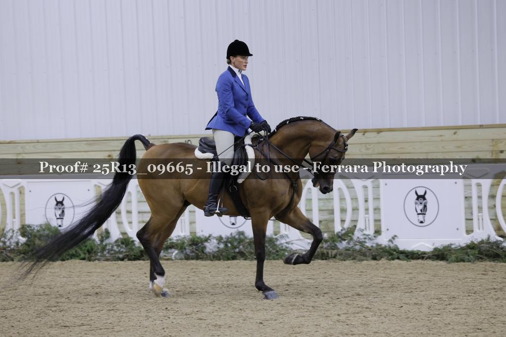 Proof Number 25R13_09665