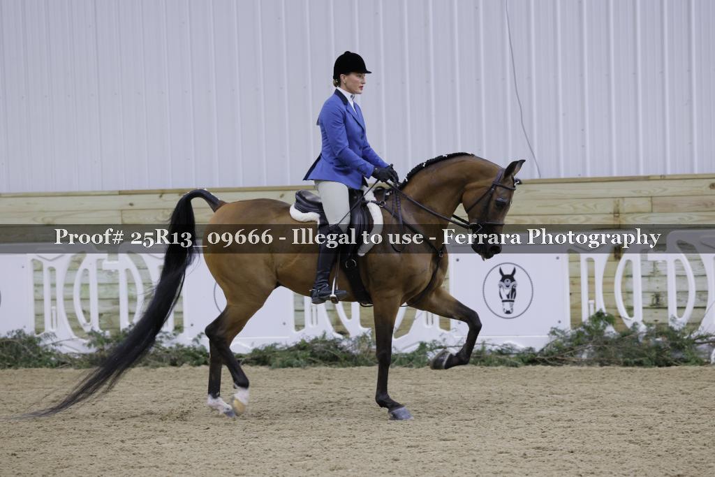 Proof Number 25R13_09666