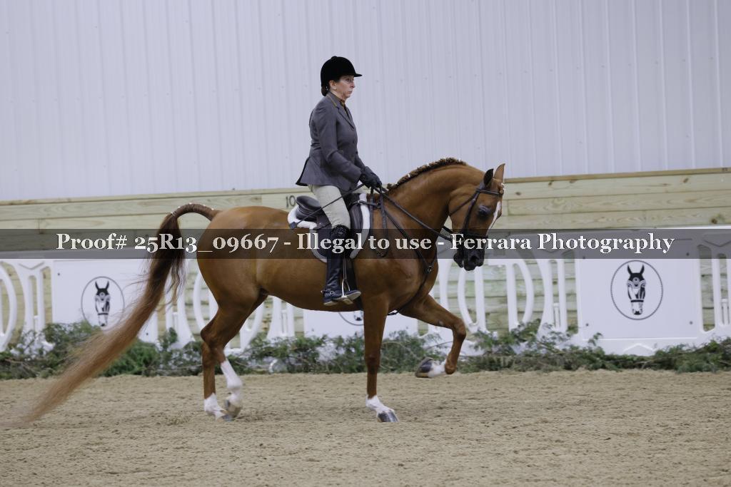 Proof Number 25R13_09667