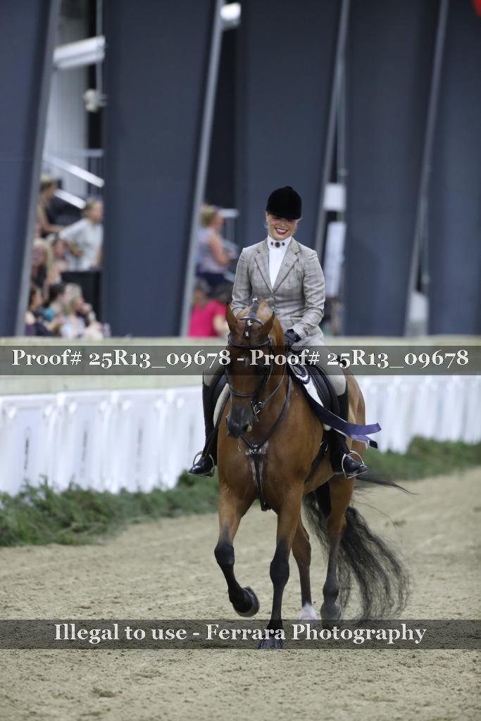 Proof Number 25R13_09678