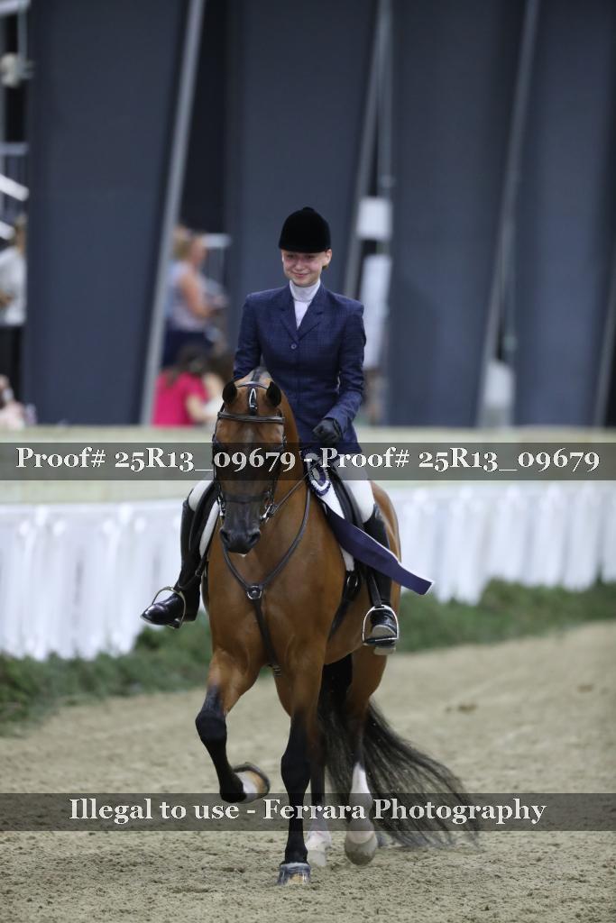 Proof Number 25R13_09679