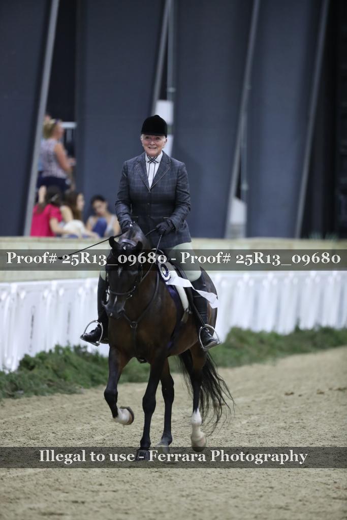 Proof Number 25R13_09680