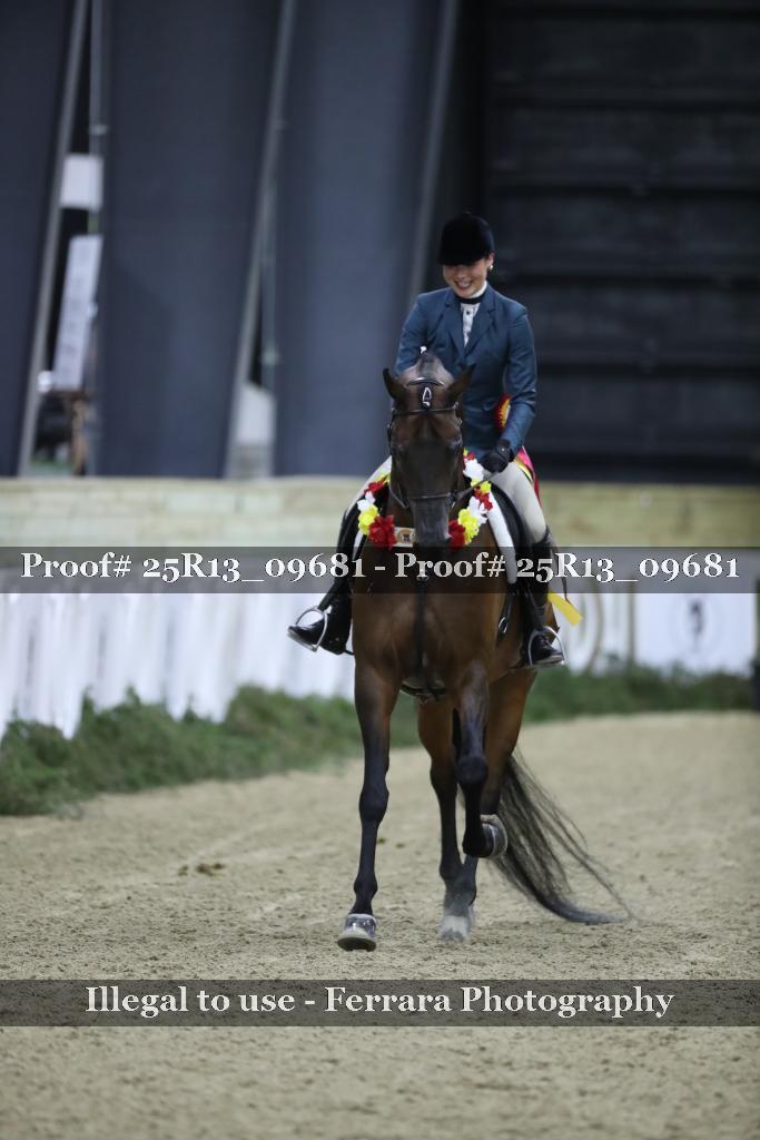 Proof Number 25R13_09681