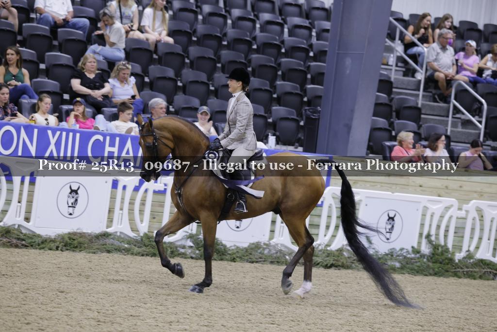Proof Number 25R13_09687