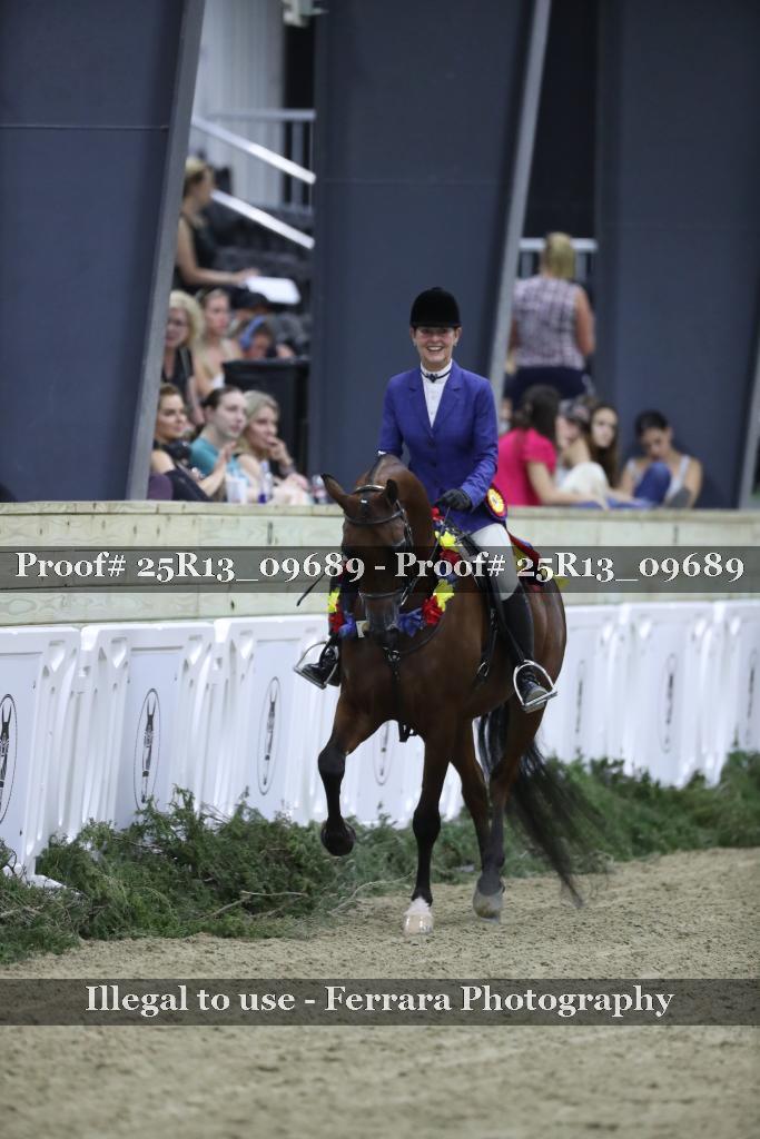 Proof Number 25R13_09689