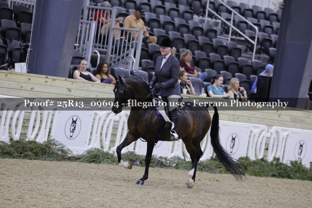 Proof Number 25R13_09694