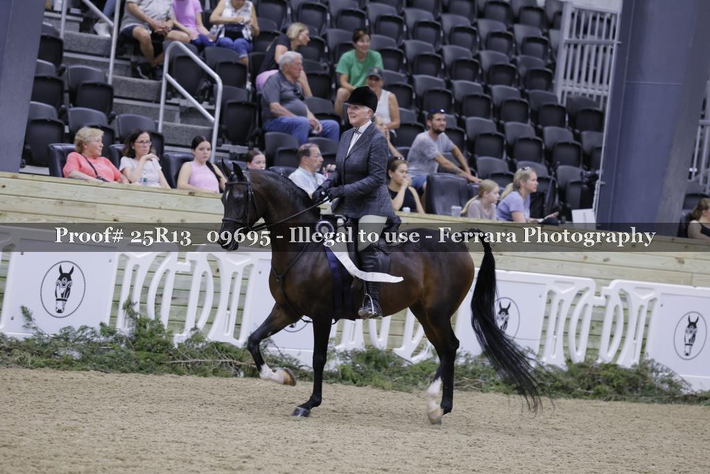 Proof Number 25R13_09695